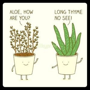 Meet your Posher, Chandler